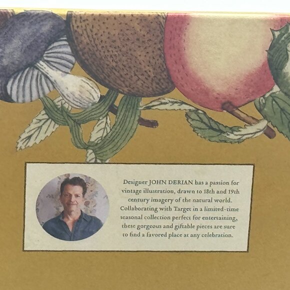 JOHN DERIAN x TARGET Stoneware Pie Plate Dish with Apple Print, 10" / New - Picture 11 of 11